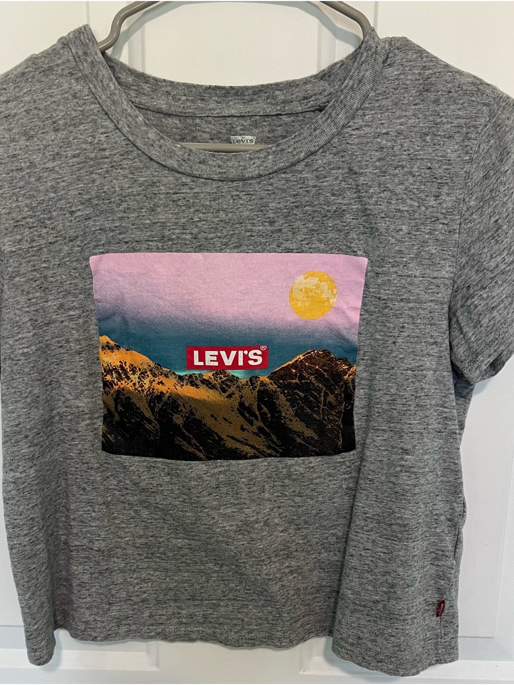 Levi's Gray Crop Top with Mountain Graphic